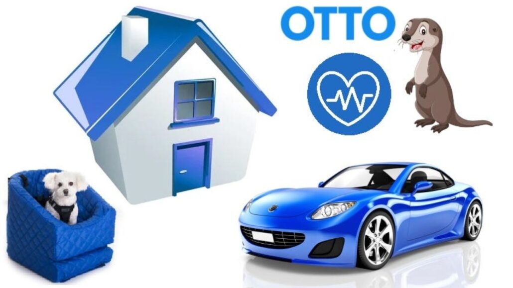 What Is Otto Insurance?