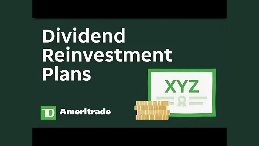 Examples of Mutual Funds Offering Dividend Reinvestment