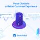 Integrating Voice and Chatbot