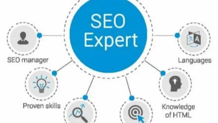 The Road to SEO Expertise How Long Does It Take