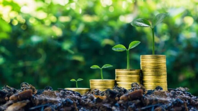 Investing in green bonds for environmental impact
