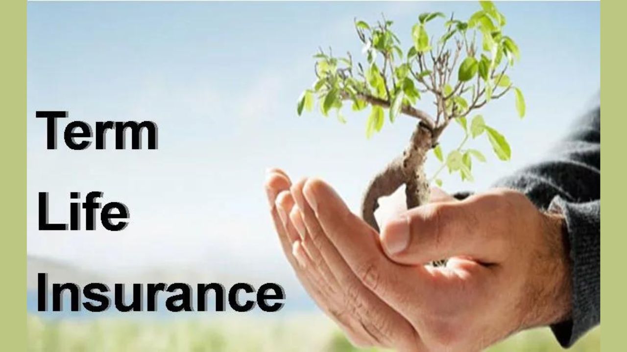 Which of the Following Statements Regarding Term-Life Insurance is Incorrect